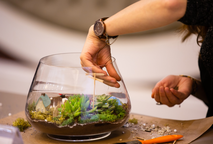 Great choice terrarium starter kit best sale