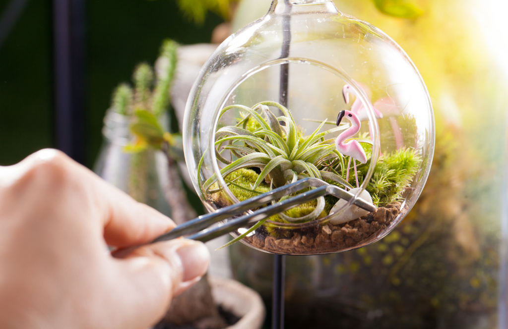 7 Creative Mini Terrarium Ideas for Desktop Garden Growers