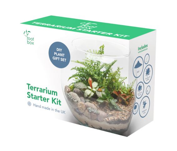 Rootbox™ Large Terrarium Kit | Scented giftbox | Suitable for Bonsai Succulents & Fern